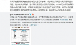 我不直播电竞91,不直播，也能感受91电竞的魅力