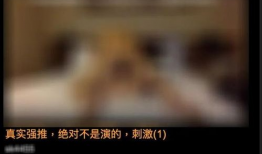 黄色片段视频,探寻背后真相与警示