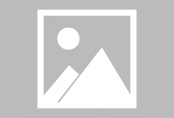 鲤鱼游戏视频,策略与技巧的完美演绎