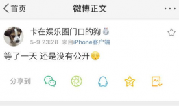 独家爆料免费吃瓜在线观看,免费在线观看吃瓜盛宴，揭秘娱乐圈幕后故事