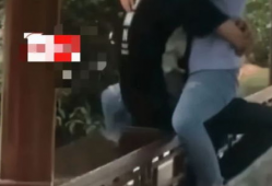 公园情侣不雅视频,公园情侣不雅视频引发社会热议